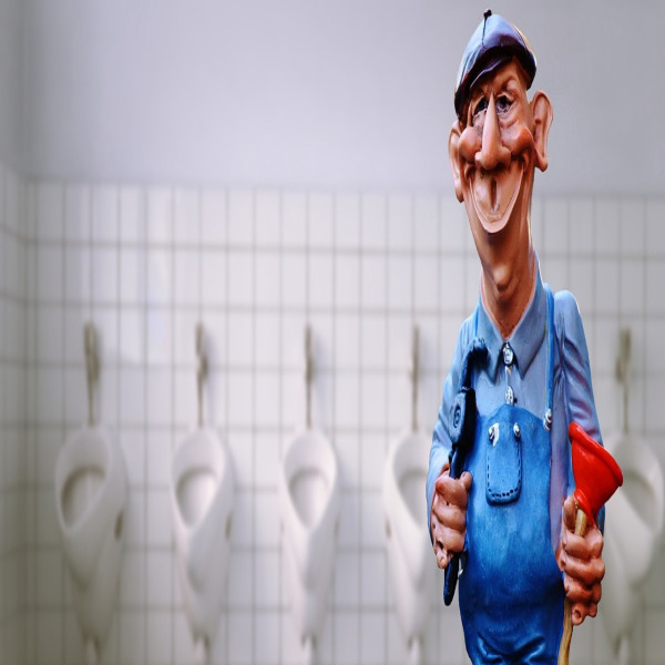 india plumber portrait